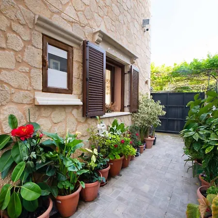 Ferienhaus Elvira's House *